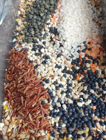 Graines au détail